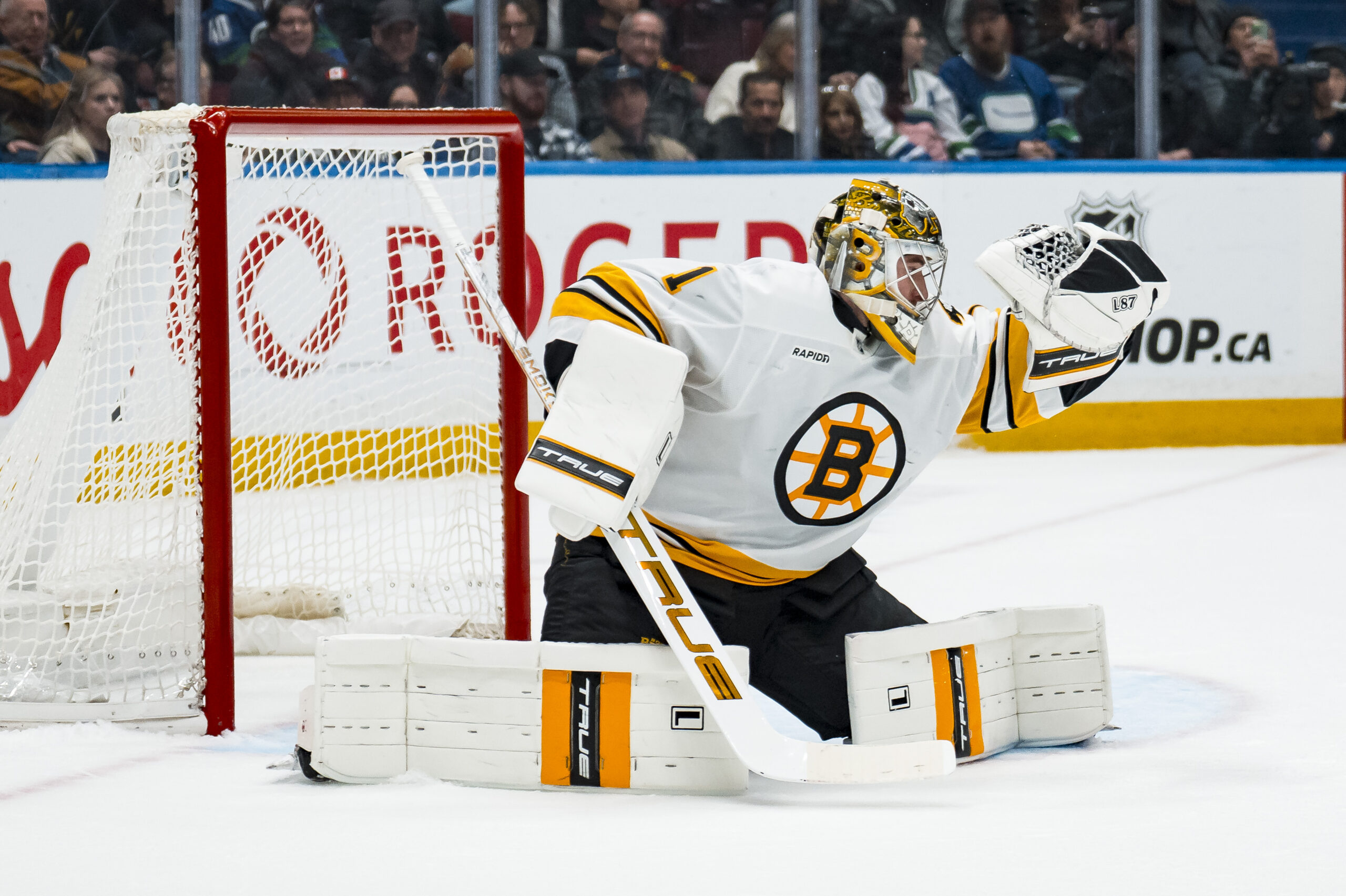 NHL焦点战：游骑兵客战棕熊，伤兵满营能否爆冷？深度分析与投注建议